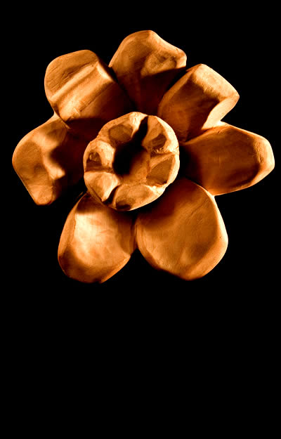 Escultura 'Rosa de Rialp' tallada en madera de cerezo, 25x15cm